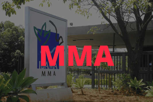 Concurso MMA: 3,3 mil vagas para a área ambiental, confira
